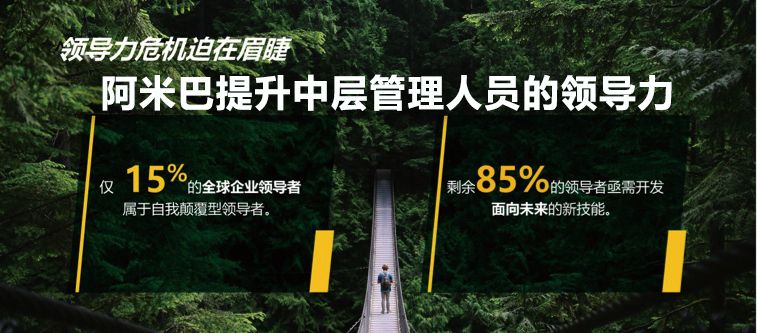 阿米巴咨询