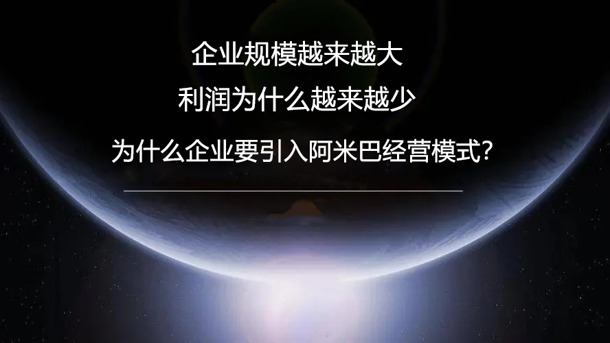 阿米巴咨询